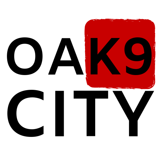 Professional Dog Training